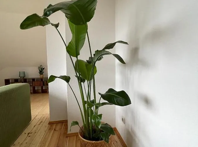 דירה Kulturgenuss Am Goethewanderweg *